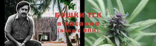 прущая мука Елабуга