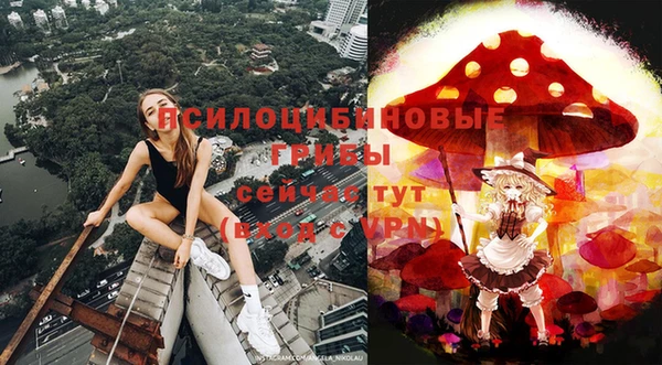 твердый Дмитров