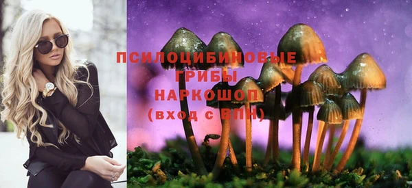 прущая мука Елабуга
