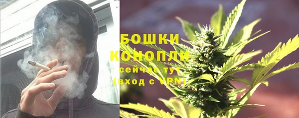 твердый Дмитров